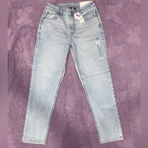 American Eagle Outfitters Light Wash Straight Leg Jeans Mom Jeans